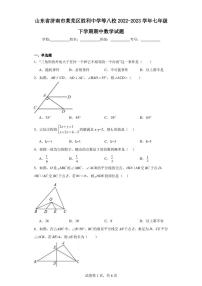 山东省济南市莱芜区胜利中学等八校2022-2023学年七年级下学期期中数学试题