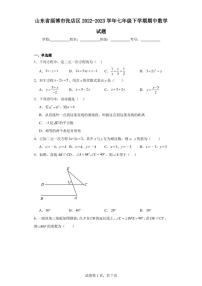 山东省淄博市张店区2022-2023学年七年级下学期期中数学试题