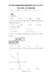 四川省南充市嘉陵区嘉陵区思源实验学校2022-2023学年七年级上学期12月月考数学试题