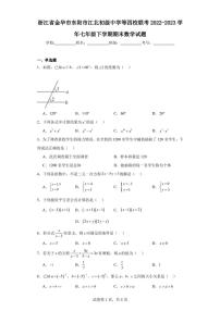 浙江省金华市东阳市江北初级中学等四校联考2022-2023学年七年级下学期期末数学试题