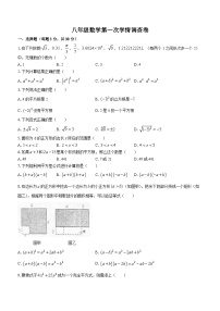 湖南省衡阳市衡山县实验中学2023-2024学年八年级上学期月考数学试题(无答案)