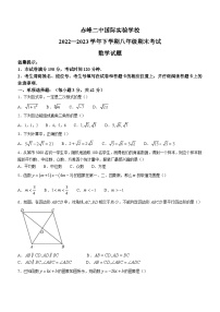 内蒙古自治区赤峰市松山区赤峰二中国际实验学校2022-2023学年八年级下学期期末数学试题