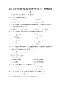 广东省揭阳市惠来县东港中学2022—2023学年下学期七年级期中数学试卷