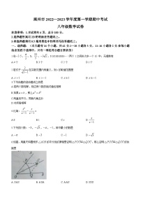 河北省唐山市滦州市2022-2023学年八年级上学期期中数学试题