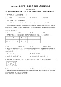 精品解析：广东省深圳市龙岗区德琳学校2022-2023学年九年级上学期阶段性训练数学试卷