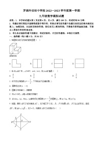 精品解析：广东省深圳市罗湖外语学校初中部2022-2023学年九年级上学期11月段考数学试题