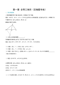 【期中单元重点题型】（苏科版）2023-2024学年八年级数学上册 第一章+全等三角形（压轴题专练）