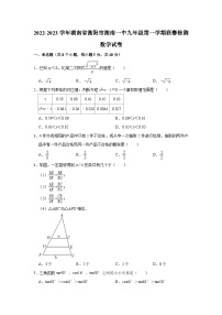 2022-2023学年湖南省衡阳市衡南一中九年级（上）联赛检测数学试卷（含解析）