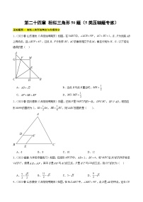 【期中单元重点题型】（沪教版）2023-2024学年九年级数学上册 第二十四章 相似三角形 （5类压轴题专练）