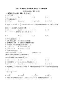 河南省南阳市卧龙区第九完全学校2023-2024学年八年级上学期第一次月考数学试题(无答案)