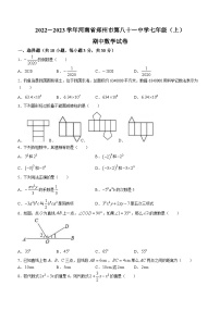 河南省郑州市二七区第八十一中学2022-2023学年七年级上学期期中数学试题(无答案)