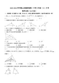 山东省济宁市微山县鲁桥镇第一中学2023-2024学年八年级上学期10月月考数学试题(无答案)