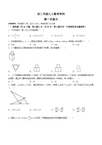 陕西省西安市西安交通大学附属中学分校2023-2024学年九年级上学期第一次月考数学试题(无答案)