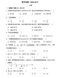 浙江省宁波市江北区青藤书院2023-2024学年七年级上学期 数学月考试卷（10月）