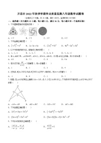 云南省红河哈尼族彝族自治州开远市2022-2023学年八年级上学期期末数学试题