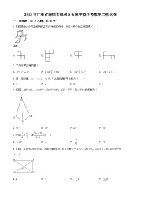 精品解析：2022年广东省深圳市福田区石厦学校中考数学二模试卷