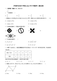 精品解析：2022年广东省深圳市罗湖区罗湖外语初中学校中考数学三模试卷