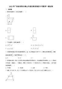 精品解析：2022年广东省深圳市南山外国语学校（集团）中考数学一模试卷