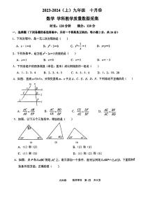 辽宁省沈阳市实验中学2023-2024学年九年级上学期10月考数学试卷