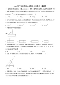 精品解析：2023年广东省深圳大学附中中考一模数学试卷