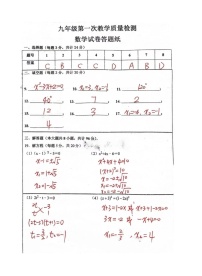 江苏省连云港市灌云实验中学2023-2024学年九年级上学期第一次阶段测试数学试卷