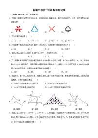 江苏省苏州市昆山新镇中学2023-2024学年八年级上学期数学10月测试卷