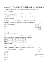 广东省河源市新河实验学校2022-2023学年八年级上学期12月数学试卷