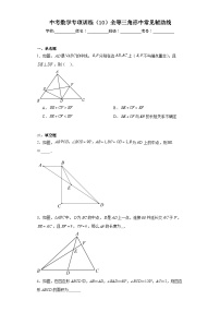 中考数学专项训练（10）全等三角形中常见辅助线含解析答案