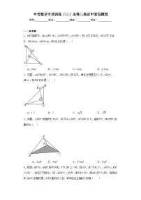 中考数学专项训练（11）全等三角形中常见模型含解析答案