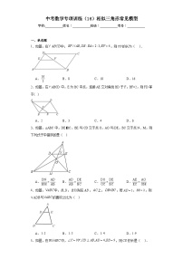 中考数学专项训练（16）相似三角形常见模型含解析答案