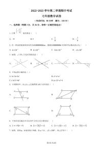 广东省深圳市宝安区振兴学校2022-2023学年七年级下学期期中考试数学试题（原卷及解析版）