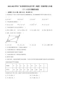 广东省深圳市宝安中学（集团）实验学校2022-2023学年七年级下学期3月月考数学试卷（原卷及解析版）