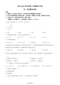 广东省深圳中学初中部2022-2023学年七年级下学期期中数学试卷（原卷及解析版）