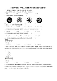 浙江省湖州市德清县2021-2022学年八年级上学期期中数学试题