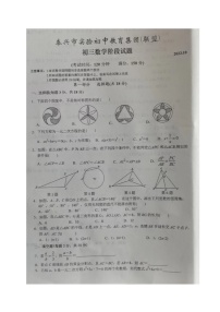 江苏省泰兴市实验初中教育集团（联盟）2023-2024学年九年级上学期数学阶段测试卷