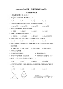 广东省茂名市高州市第一中学附属实验中学2023-2024学年七年级上学期10月月考数学试题