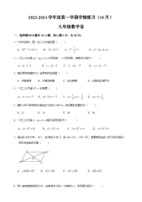 广东省茂名市高州市第一中学2023-2024学年九年级上学期10月月考数学试题