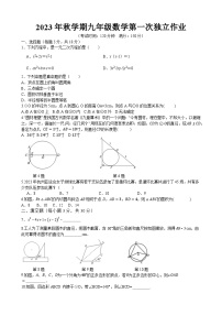 江苏省泰州市部分农村学校2023-2024学年九年级上学期10月月考数学试题（第一次月考）