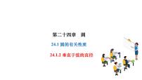 人教版九年级上册24.1.2 垂直于弦的直径作业ppt课件