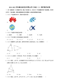 2021-2022学年湖北省武汉市青山区八年级（上）期中数学试卷(含答案)