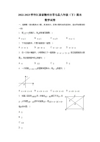 江西省赣州市寻乌县2022-2023学年八年级下学期期末考试数学试卷(含解析)