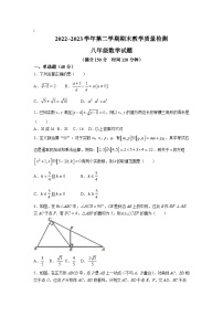 山东省德州市禹城市2022-2023学年八年级下学期期末教学质量检测数学试卷(含答案)