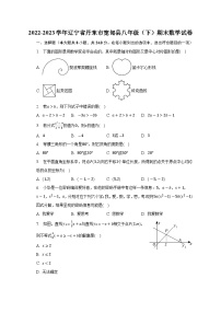 辽宁省丹东市宽甸县2022-2023学年八年级下学期期末考试数学试卷(含解析)