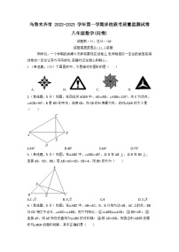 新疆乌鲁木齐市多校联考2022-2023学年八年级上学期期末质量监测数学试卷(含答案)