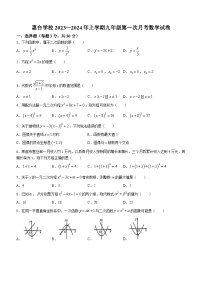 广东省惠州市惠城区惠州市惠台学校2023-2024学年九年级上学期第一次月考数学试题(无答案)