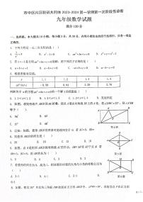 山东省枣庄市市中区片区联研共同体2023-2024学年九年级上学期10月月考数学试题（月考）