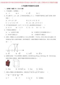 河南省郑州外国语中学2023-2024学年八年级上学期10月月考数学试题