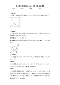 中考数学专项训练（21）专题费马点模型含解析答案