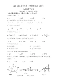 广东省茂名市高州市第一中学2023-2024学年八年级上学期10月月考数学试题