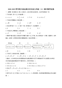 四川省宜宾市兴文县2022—2023学年上学期九年级期中数学试卷